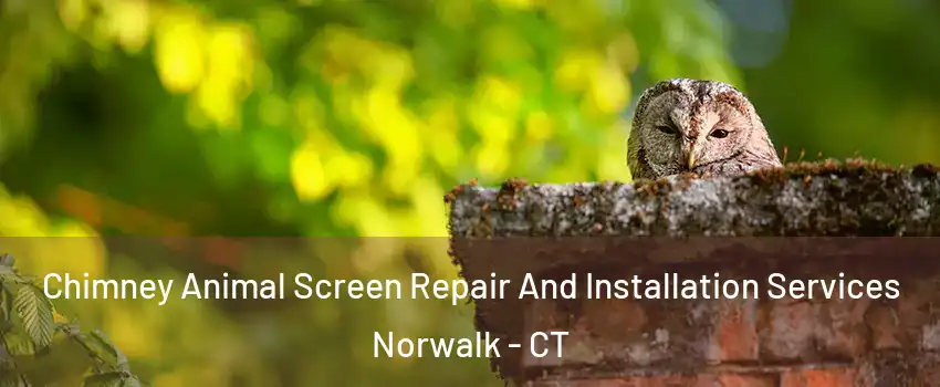  Chimney Animal Screen Repair And Installation Services Norwalk - CT