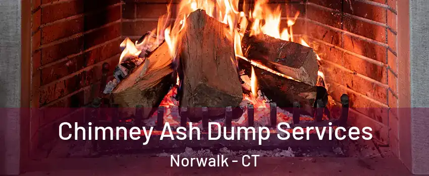  Chimney Ash Dump Services Norwalk - CT