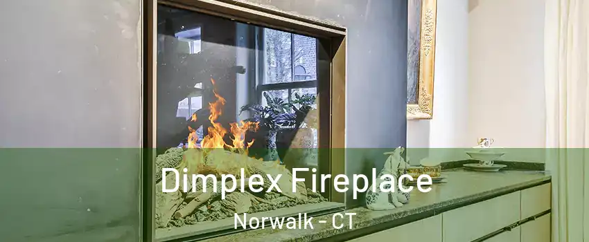  Dimplex Fireplace Norwalk - CT