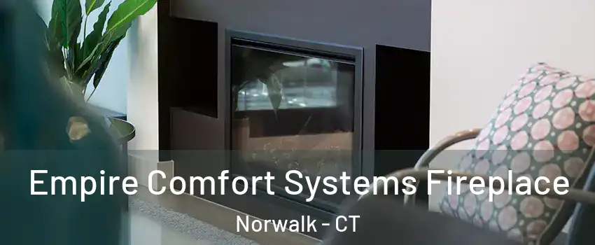  Empire Comfort Systems Fireplace Norwalk - CT