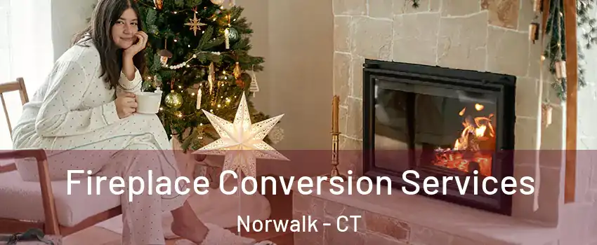  Fireplace Conversion Services Norwalk - CT