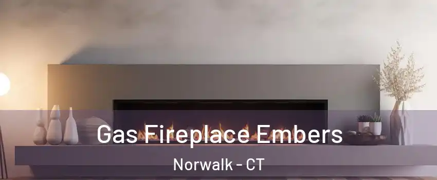  Gas Fireplace Embers Norwalk - CT