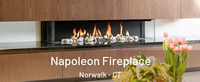  Napoleon Fireplace Norwalk - CT
