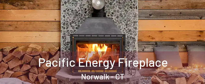  Pacific Energy Fireplace Norwalk - CT